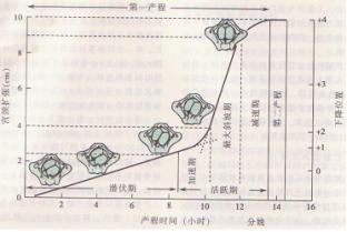 2010年醫(yī)療器械行業(yè)即將進(jìn)入高標(biāo)準(zhǔn)時(shí)代